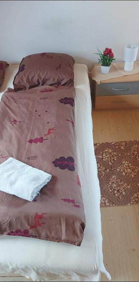 Hotel Badacsonyi Pihenes Privat Berlemeny Badacsonytomaj Zewnętrze zdjęcie