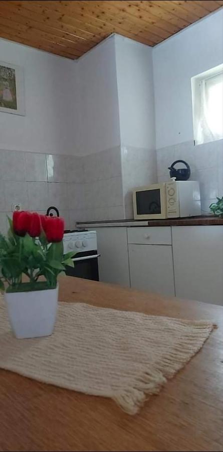 Hotel Badacsonyi Pihenes Privat Berlemeny Badacsonytomaj Zewnętrze zdjęcie